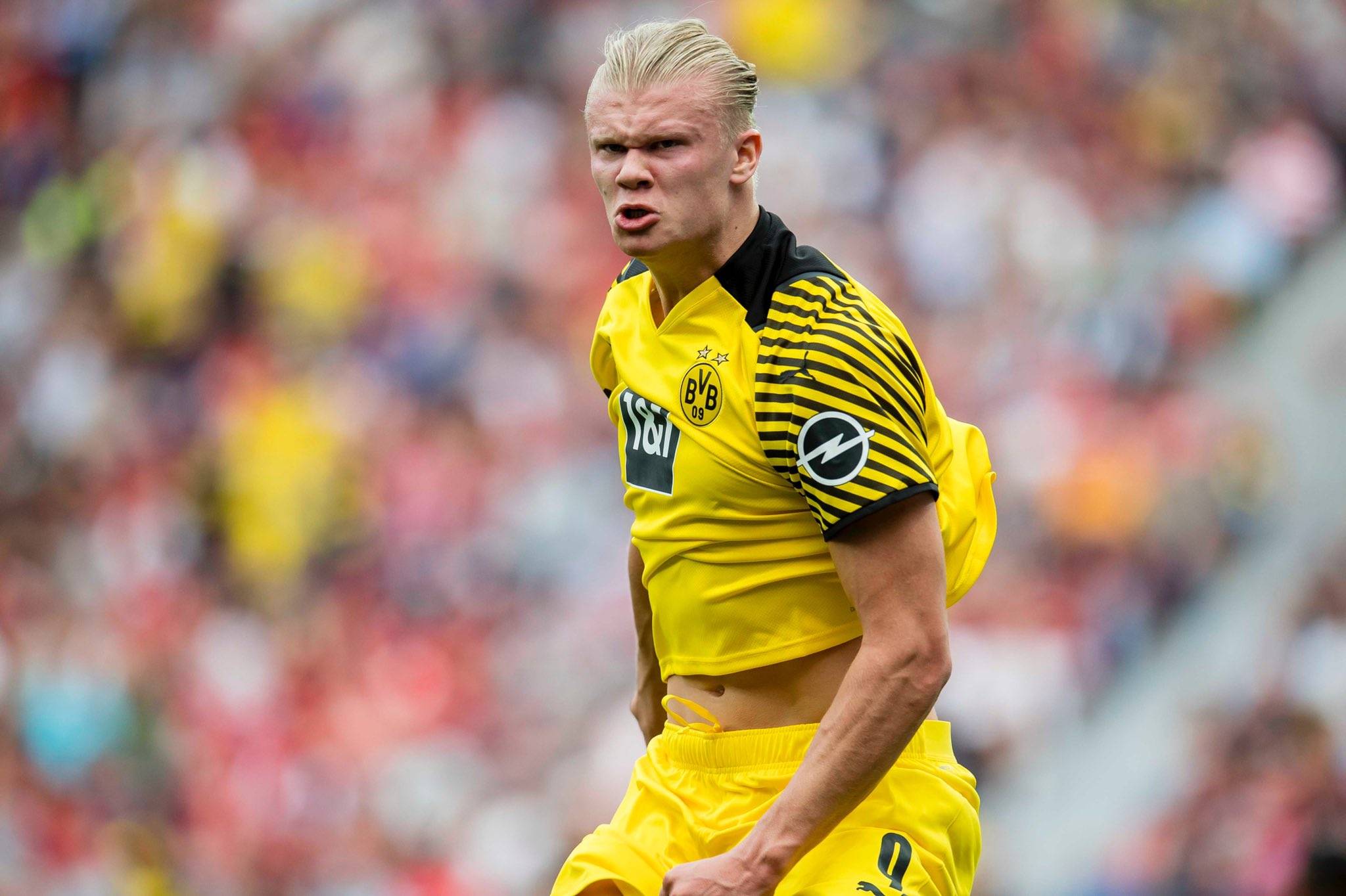 “玉面杀手”张玉宁将执掌苏超宿迁队（“玉面杀手”张玉宁挂帅苏超宿迁队）